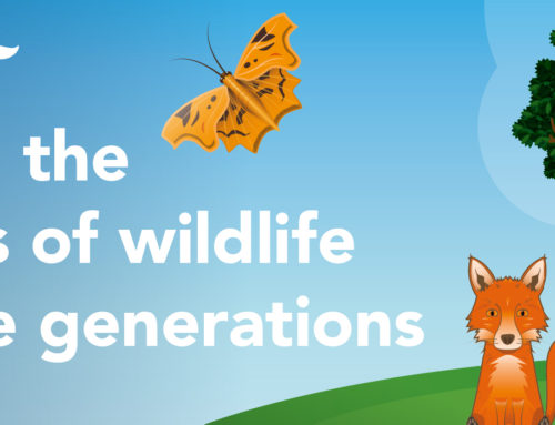 Bringing the wonders of wildlife to future generations